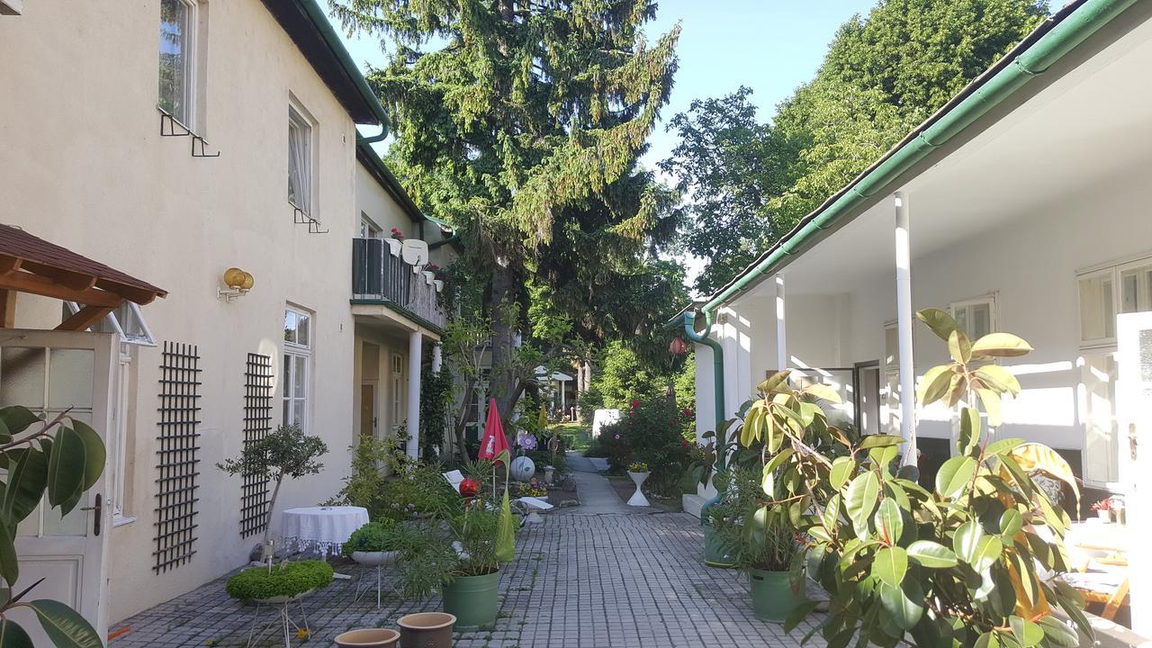 Pension Margit บาเดน ภายนอก รูปภาพ