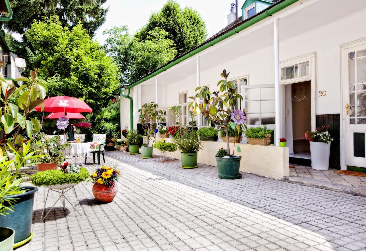 Pension Margit บาเดน ภายนอก รูปภาพ